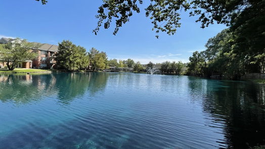 The Woodlands 1-story, 3-bed 154 N Magnolia Pond Place-idx