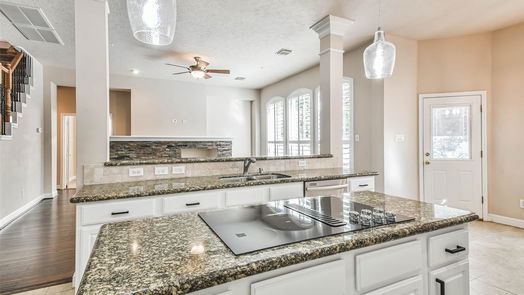 The Woodlands 2-story, 5-bed 47 S Chandler Creek Circle-idx