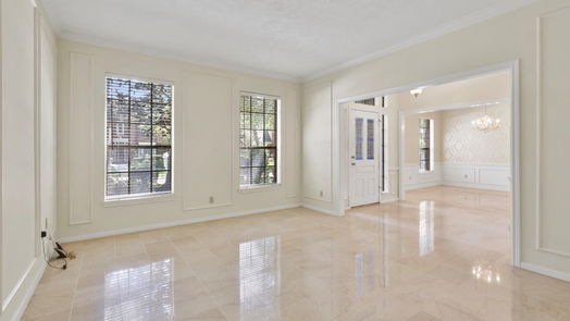 The Woodlands 2-story, 4-bed 19 Feather Branch Court-idx
