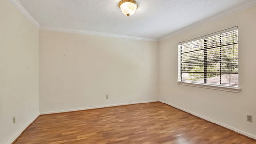 The Woodlands 2-story, 4-bed 19 Feather Branch Court-idx