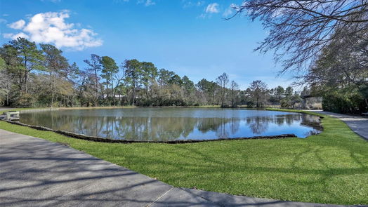 The Woodlands 1-story, 3-bed 48 E White Willow Circle-idx