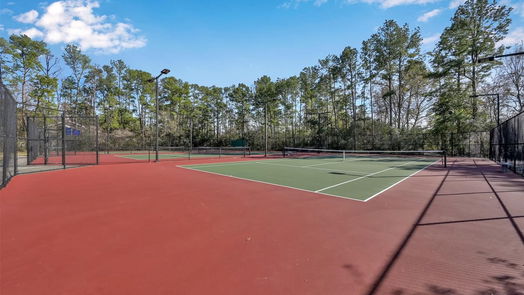 The Woodlands 1-story, 3-bed 48 E White Willow Circle-idx