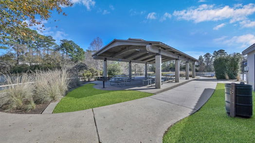 The Woodlands 1-story, 3-bed 48 E White Willow Circle-idx