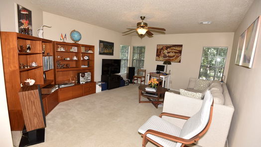 The Woodlands 2-story, 4-bed 50 E Copper Sage Circle-idx