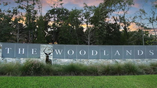 The Woodlands 1-story, 1-bed 3500 Tangle Brush Drive 55-idx