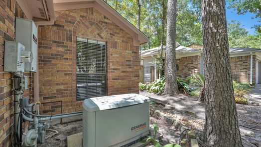 The Woodlands null-story, 3-bed 62 S Cobble Hill Circle-idx