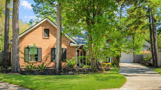 The Woodlands 1-story, 4-bed 30 Amber Sky Place-idx