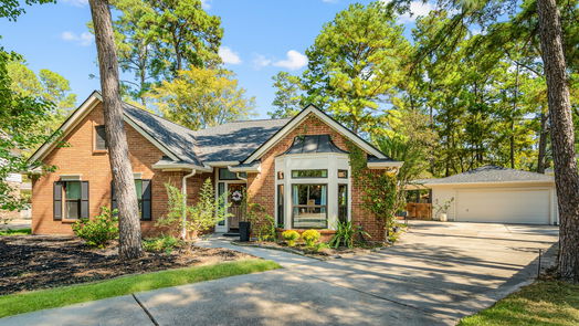 The Woodlands 1-story, 4-bed 30 Amber Sky Place-idx