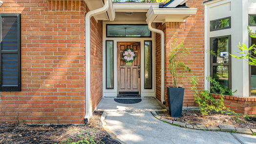 The Woodlands 1-story, 4-bed 30 Amber Sky Place-idx