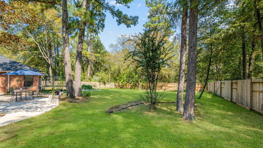 The Woodlands 1-story, 4-bed 30 Amber Sky Place-idx