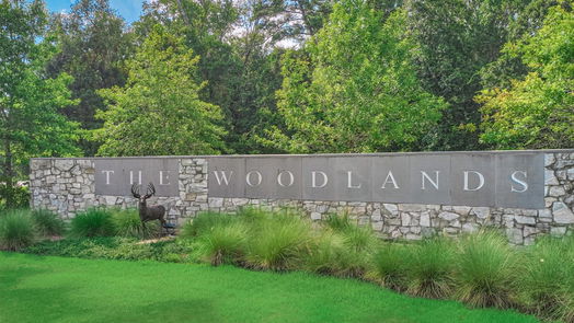 The Woodlands 2-story, 5-bed 6 New Light Place-idx