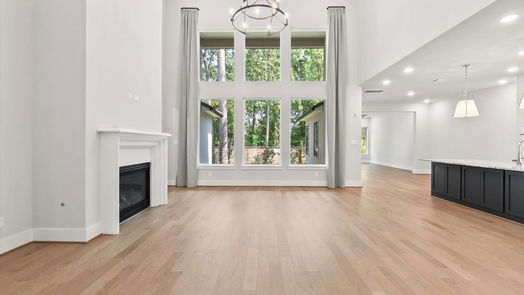 The Woodlands 2-story, 4-bed 55 Angelique Way-idx