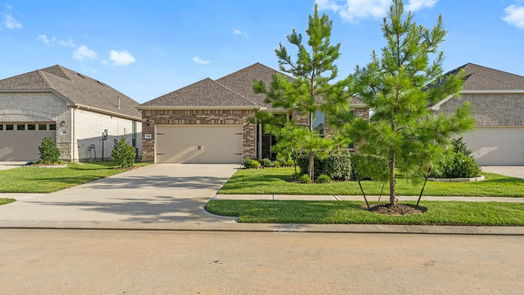 The Woodlands null-story, 2-bed 135 Wild Wick Way-idx