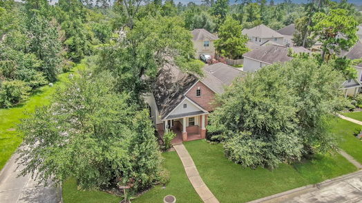 The Woodlands 2-story, 4-bed 31 Panterra Way-idx