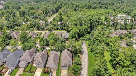 The Woodlands 2-story, 4-bed 31 Panterra Way-idx