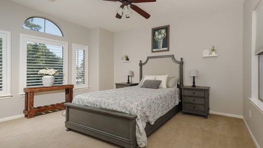 The Woodlands 2-story, 3-bed 30 Knights Crossing Drive-idx