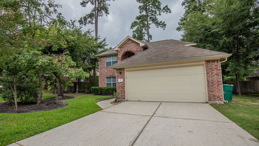 The Woodlands 2-story, 3-bed 62 S Regan Mead Circle-idx