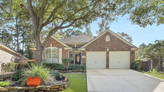 The Woodlands 1-story, 3-bed 119 S Veranda Ridge Drive-idx