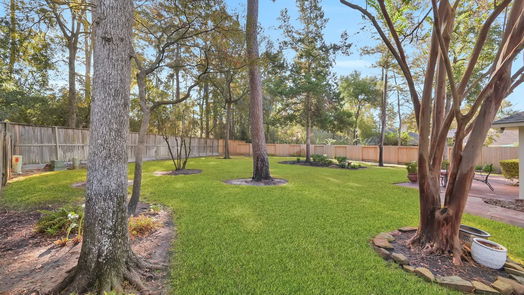 The Woodlands null-story, 3-bed 119 S Veranda Ridge Drive-idx