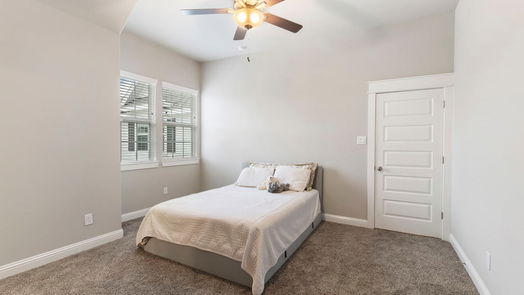 Conroe 2-story, 5-bed 2205 Salt Grass Trail-idx