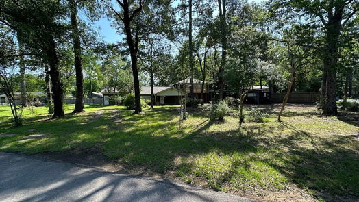 Conroe null-story, 4-bed 17633 Black Bass Drive-idx