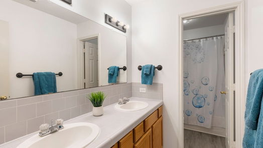 Conroe null-story, 4-bed 21 Stony Creek Drive-idx