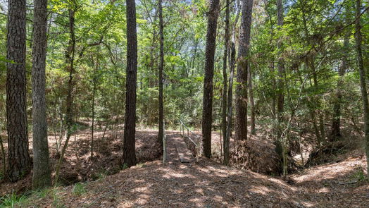 Conroe null-story, 4-bed 21 Stony Creek Drive-idx