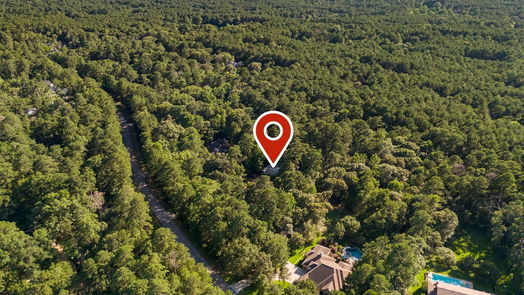 Conroe null-story, 4-bed 21 Stony Creek Drive-idx