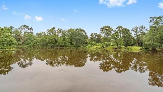 Conroe 2-story, 4-bed 2306 Hollowbrook Lane-idx