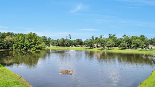 Conroe 1-story, 4-bed 1030 Forest Haven Court-idx