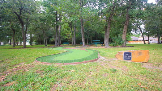 Conroe 2-story, 4-bed 355 Arbor Ridge Lane-idx