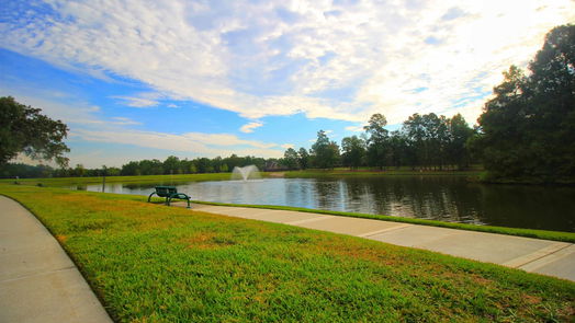 Conroe 2-story, 4-bed 355 Arbor Ridge Lane-idx