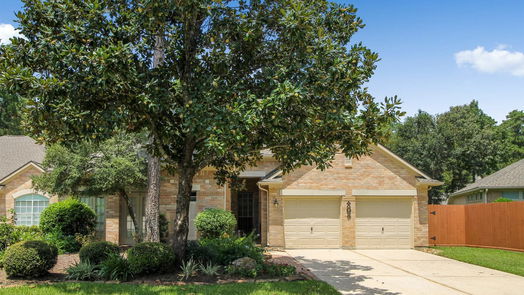 Conroe 2-story, 3-bed 198 W Northcastle Circle-idx