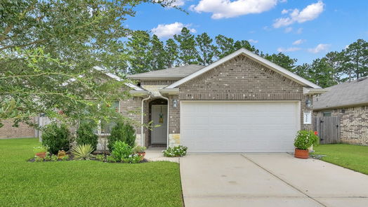 Conroe 1-story, 3-bed 13966 Nicolet Arbor Lane-idx