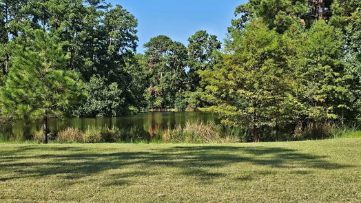 Conroe 1-story, 3-bed 1009 Country Lane-idx