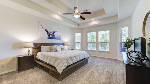 Conroe 2-story, 4-bed 14117 Sun Notch Drive-idx
