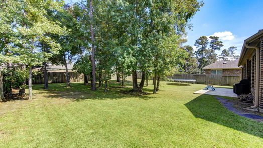 Conroe 2-story, 4-bed 14117 Sun Notch Drive-idx