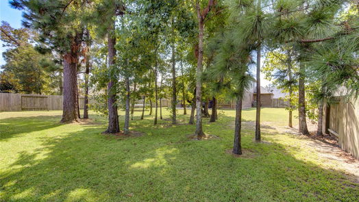 Conroe 2-story, 4-bed 14117 Sun Notch Drive-idx