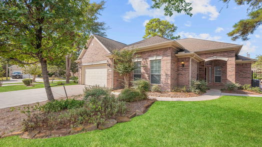 Conroe 1-story, 3-bed 22 Pearl Garden Court-idx