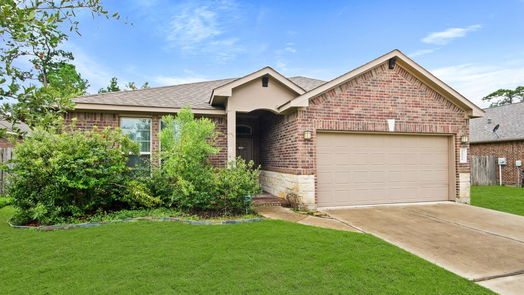 Conroe null-story, 4-bed 14021 Buffalo Gap Trail-idx