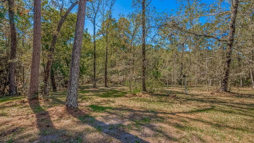 Conroe null-story, 3-bed 53 Creek Forest Lane-idx