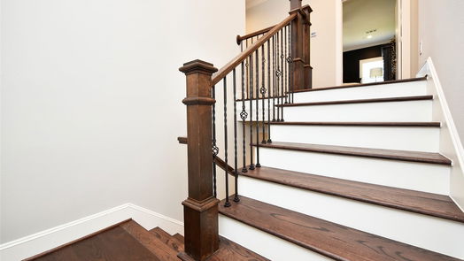 Shenandoah 2-story, 3-bed 118 Cinder Berry Street-idx
