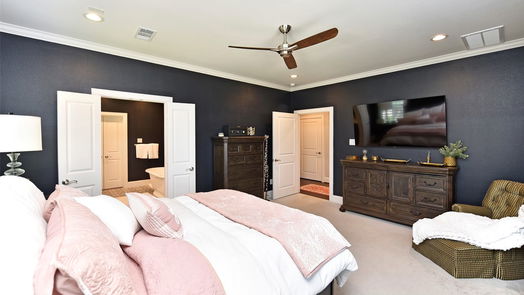 Shenandoah 2-story, 3-bed 118 Cinder Berry Street-idx