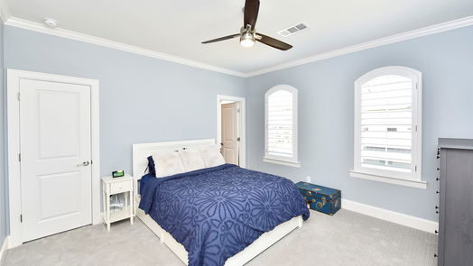 Shenandoah 2-story, 3-bed 118 Cinder Berry Street-idx