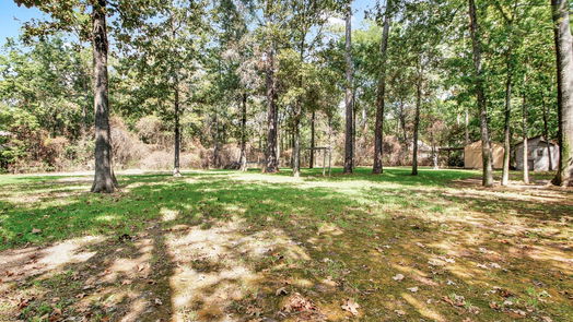 Conroe 3-story, 4-bed 12007 Forest View Trail-idx