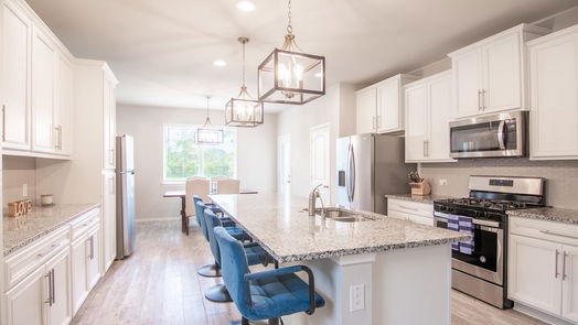 Conroe 2-story, 4-bed 16880 Pink Wintergreen Drive-idx