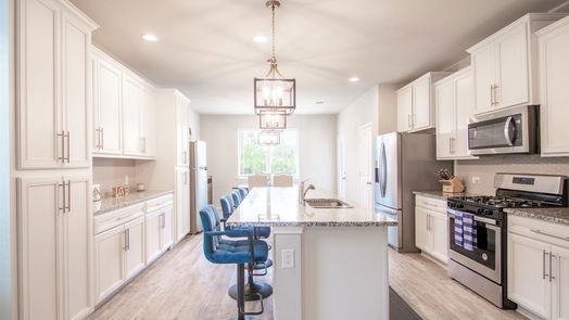 Conroe 2-story, 4-bed 16880 Pink Wintergreen Drive-idx