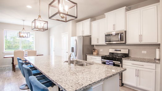 Conroe 2-story, 4-bed 16880 Pink Wintergreen Drive-idx