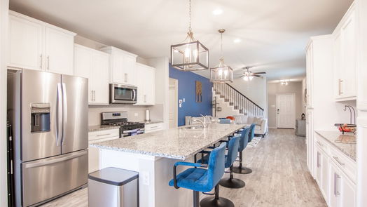 Conroe 2-story, 4-bed 16880 Pink Wintergreen Drive-idx