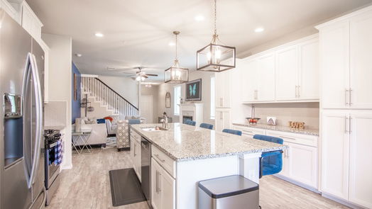 Conroe 2-story, 4-bed 16880 Pink Wintergreen Drive-idx